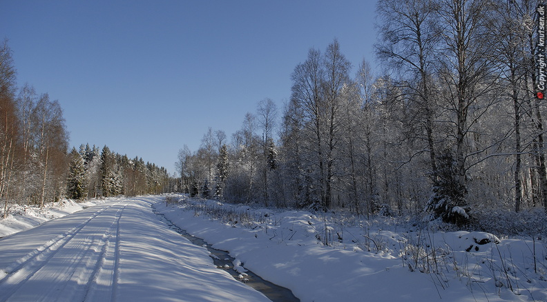 _DSC0338.JPG