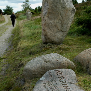 Kongenshus Mindepark