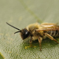  DSC5063