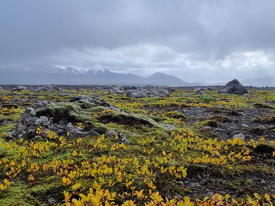 Bláskógabyggð