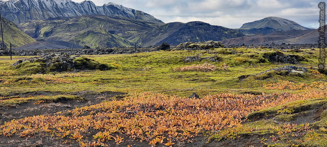 Fjallabak Natur reservat