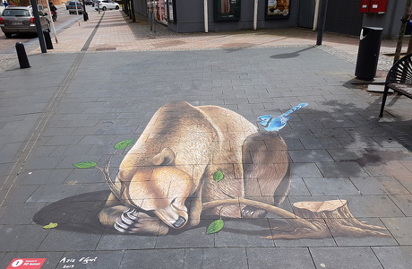 Street art, Brande