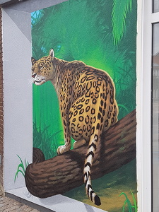 Street art, Brande