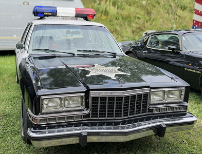 1989 Plymouth Gran Fury