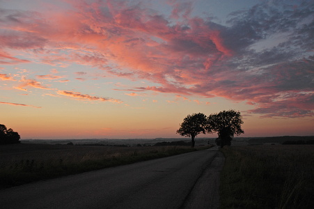 Solnedgang