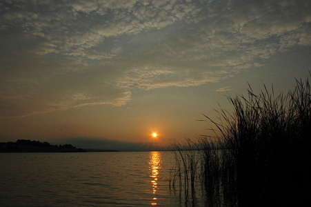 Solnedgang