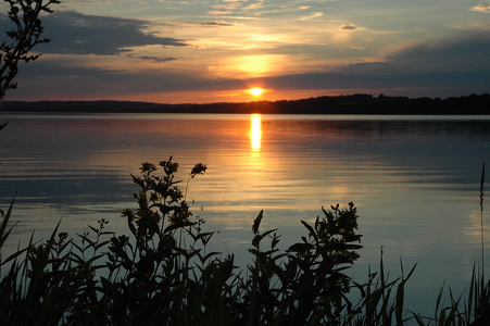 Solnedgang