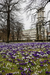  Rådhusparken
