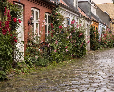 Møllestien