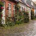 Møllestien