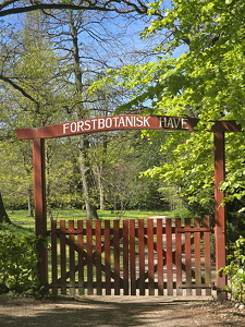 Forstbotanisk Have