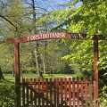 Forstbotanisk Have
