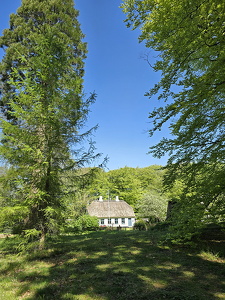 Forstbotanisk Have