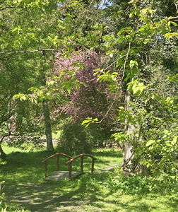 Forstbotanisk Have