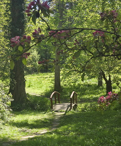 Forstbotanisk Have