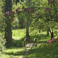Forstbotanisk Have