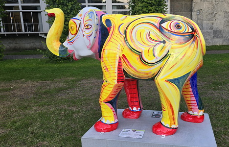 Elefant