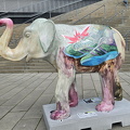 Elefant