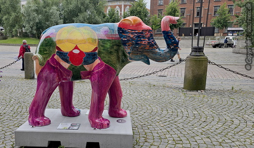 Elefant