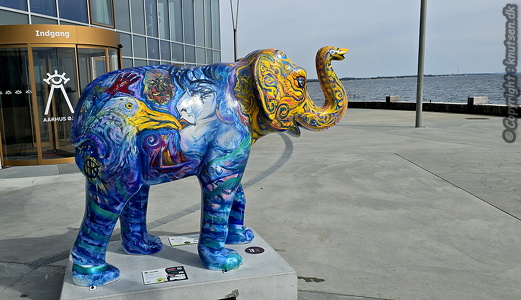 Aarhus Øje