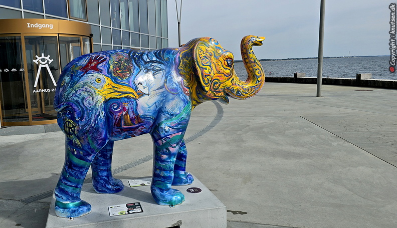 Aarhus Øje - 20240813_104257.jpg 20240813_104257.jpg