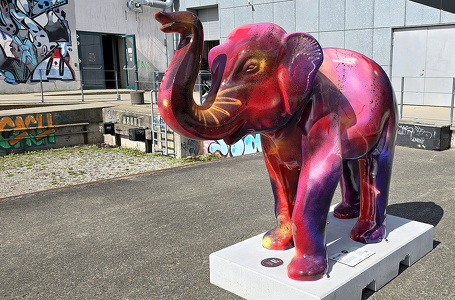 Elefant