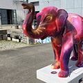 Elefant