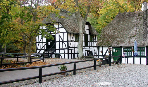 Skovmøllen
