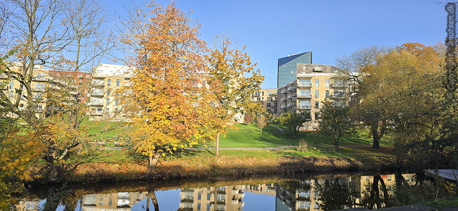 Folkestedet