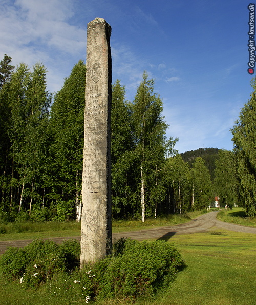 _DSC0016.JPG