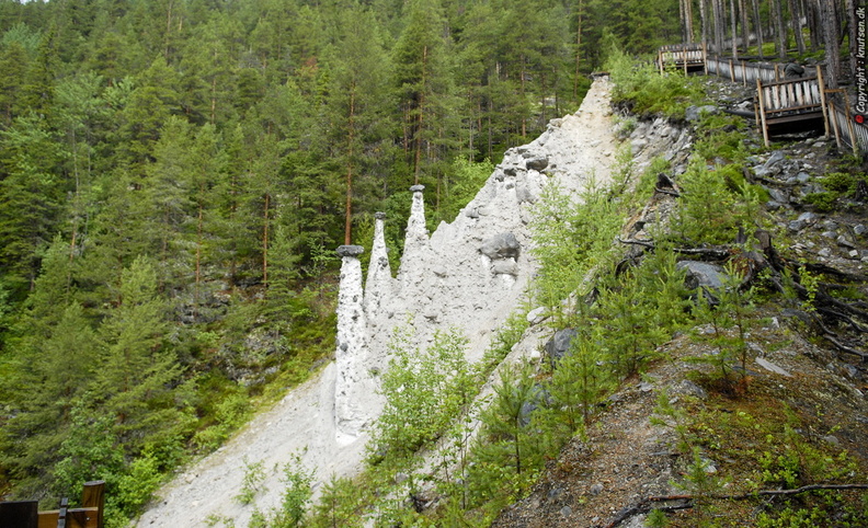 _DSC0050.JPG