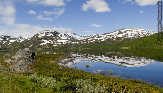 Hardangervidda 