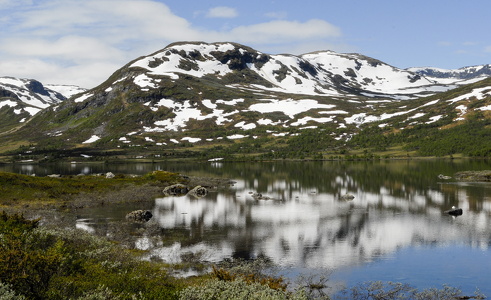 Hardangervidda 