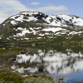 Hardangervidda 