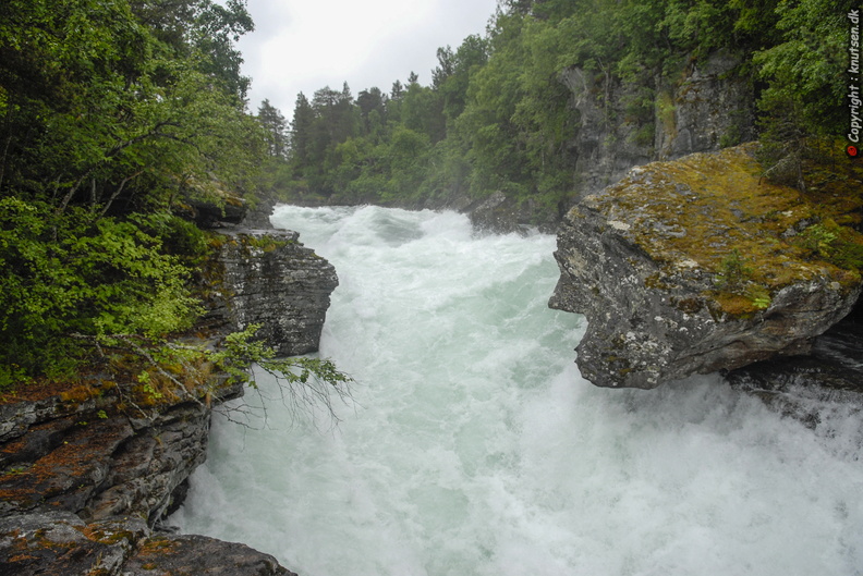 _DSC0244.JPG