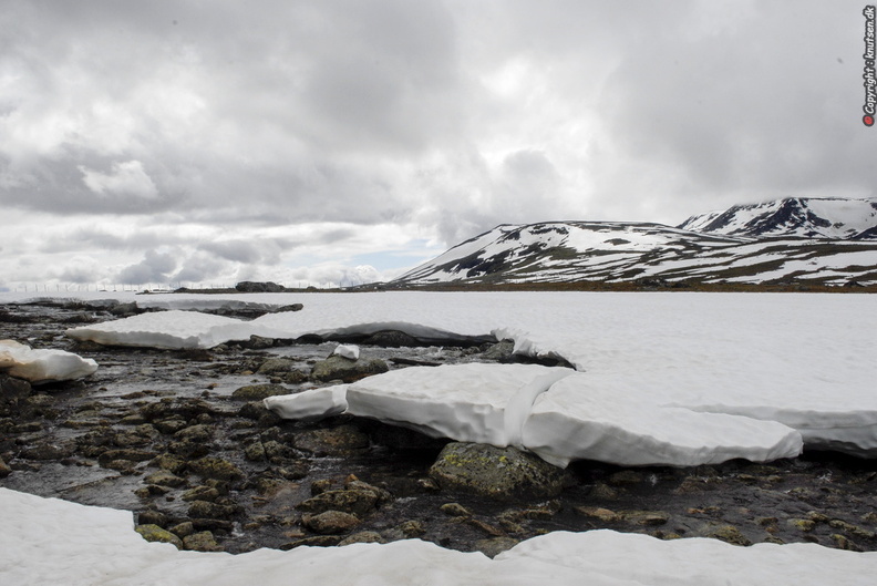 _DSC0272.JPG