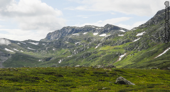  Dovrefjell