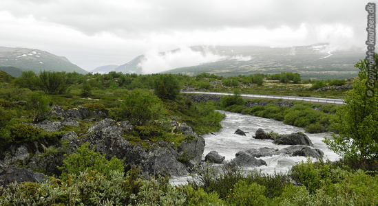  Dovrefjell