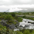  Dovrefjell
