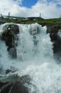 DSC 0859