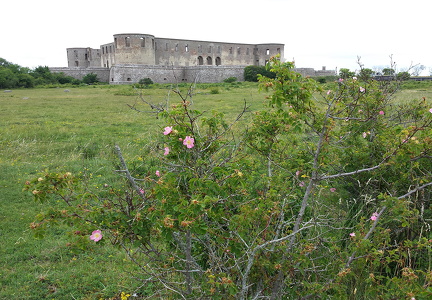 Borgholm slot