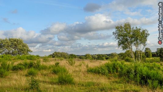 Landskab