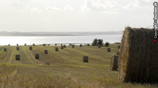 Landskab