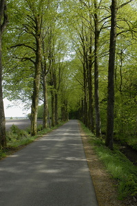  Natur