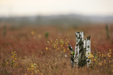  Natur