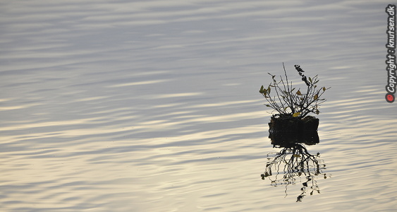  Natur