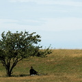 Landskab