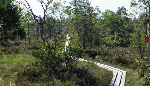 Store Mosse nationalpark
