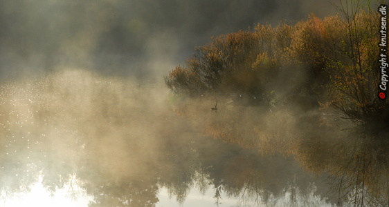 Vejlbo Mose (Silkeborg)