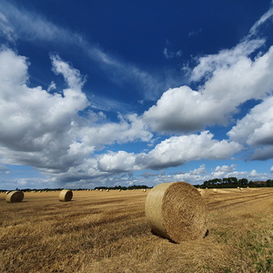 Årstider - Landskaber